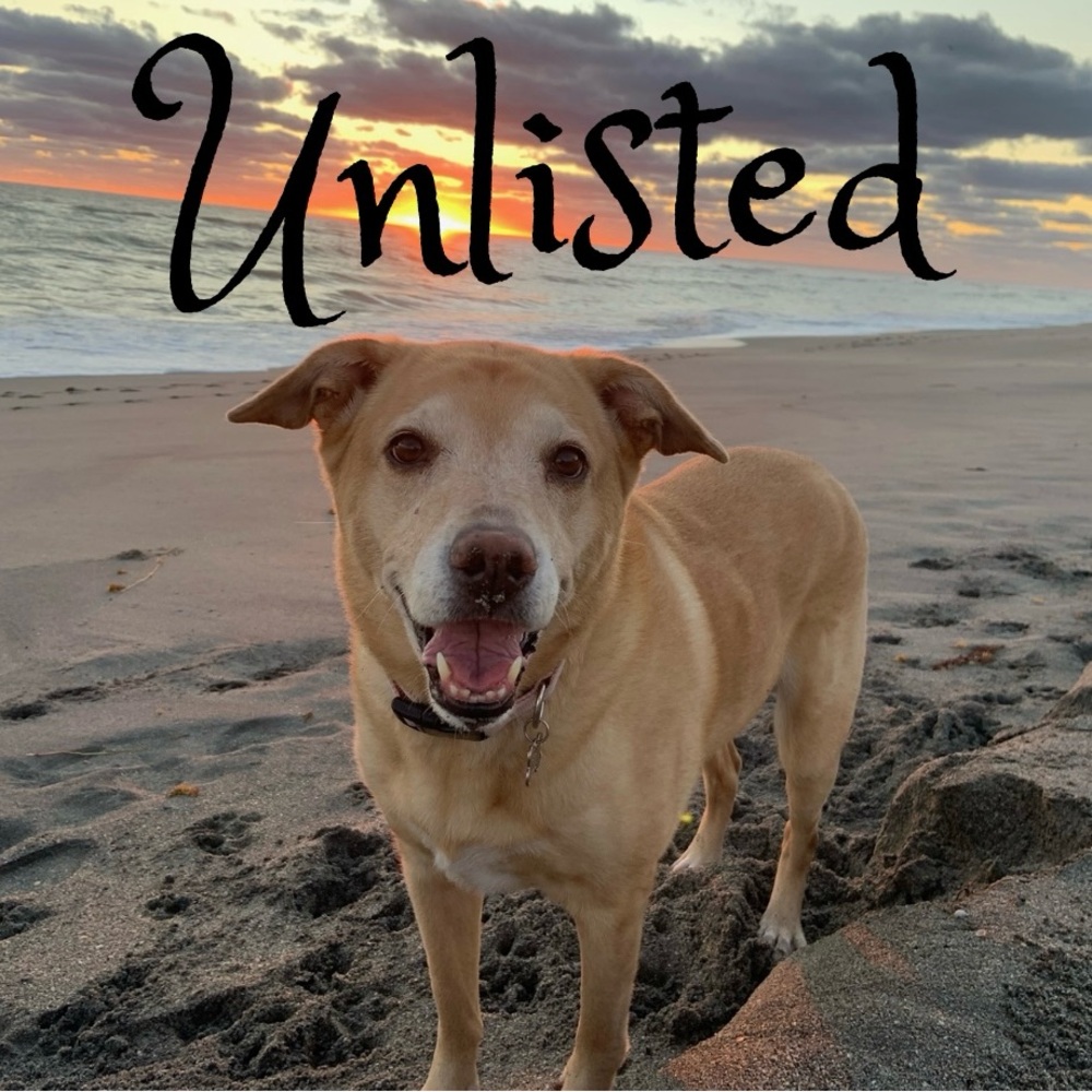 UNLISTED SHOW ITEMS